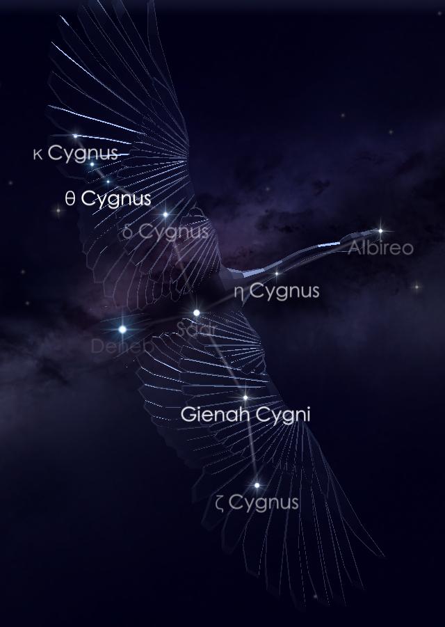 梦游天鹅座，探寻星空奇妙之旅