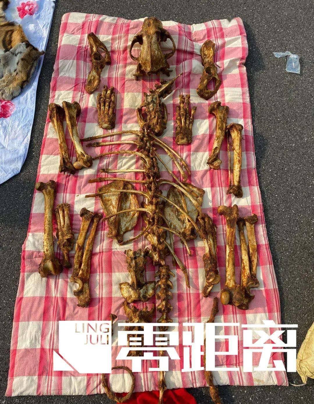 寻找河洛群侠传中的虎骨：购买攻略大揭秘！