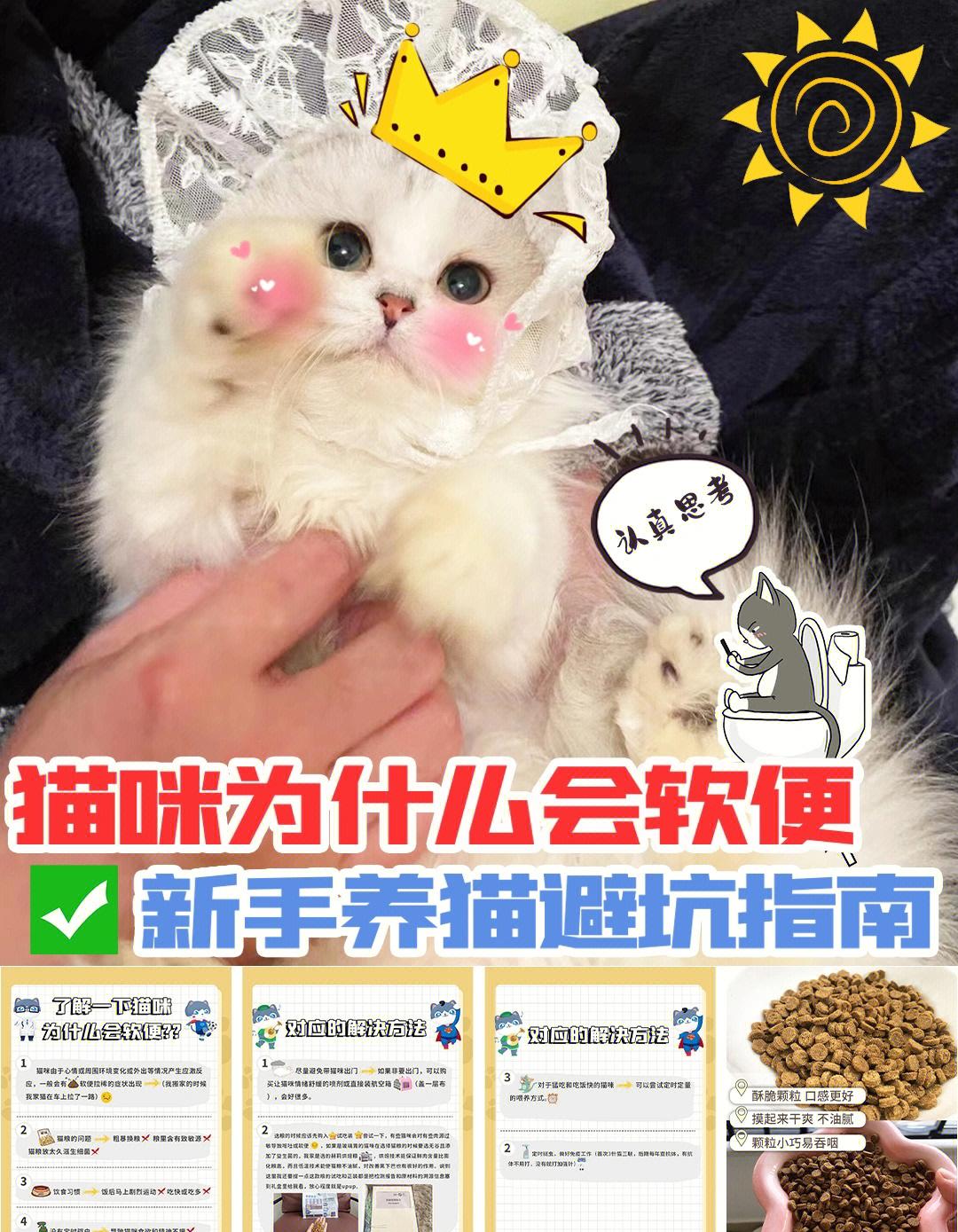 解锁喵咪斗恶龙2报毒技能的方法，轻松应对游戏挑战
