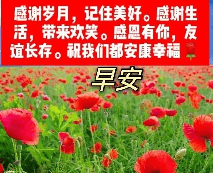 清晨拥抱太阳图片唯美_你欠我一个拥抱的清晨_欠一个拥抱