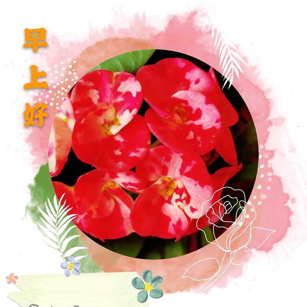 欠一个拥抱_清晨拥抱太阳图片唯美_你欠我一个拥抱的清晨