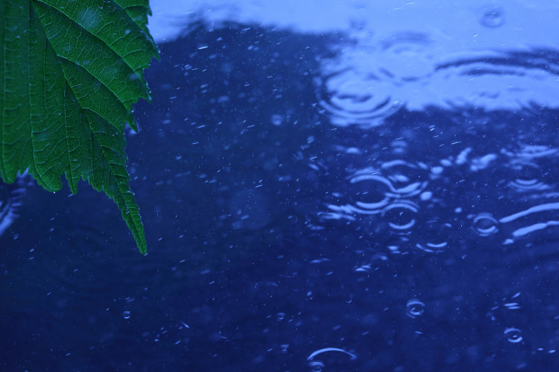 雨蓝：我心中最美的绚丽色彩