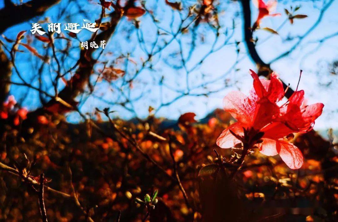 当我遇见你就为你着迷是什么歌_遇见这首歌是民谣吗_遇见的歌迷他略显的惊讶