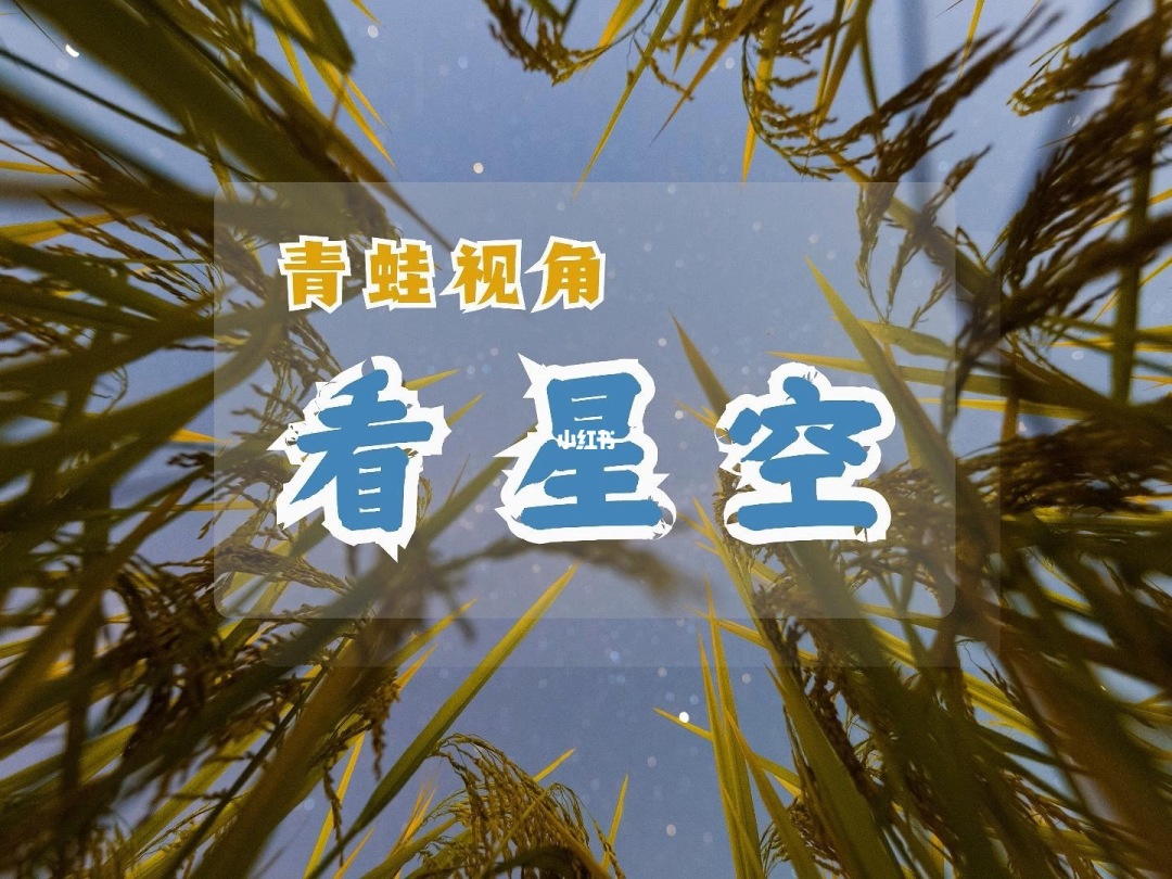 保护青蛙我是一只小青蛙作文_青蛙照片_青蛙吃蚊子照片