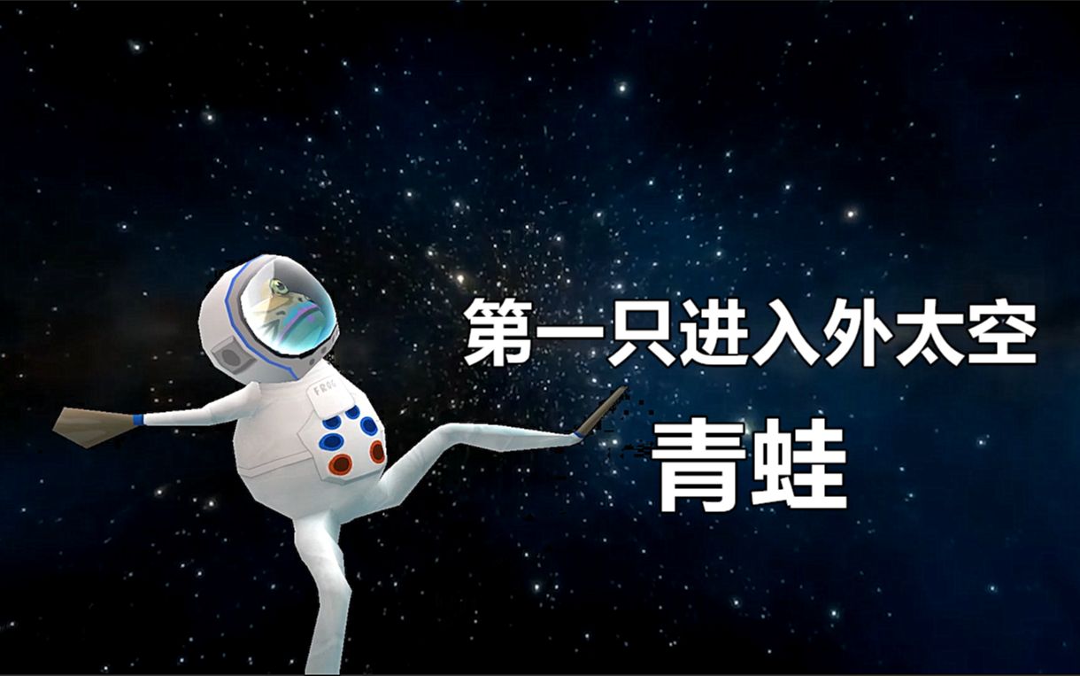 保护青蛙我是一只小青蛙作文_青蛙吃蚊子照片_青蛙照片