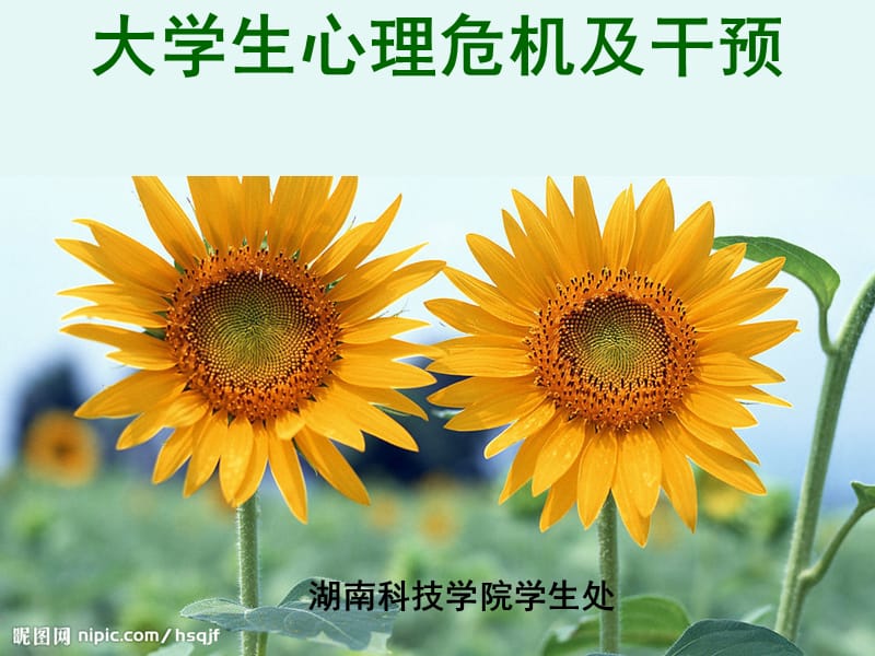 应对心理危机时最常见的资源类型有哪些_应对心理危机常见的资源有哪些_应对心理危机常见的资源