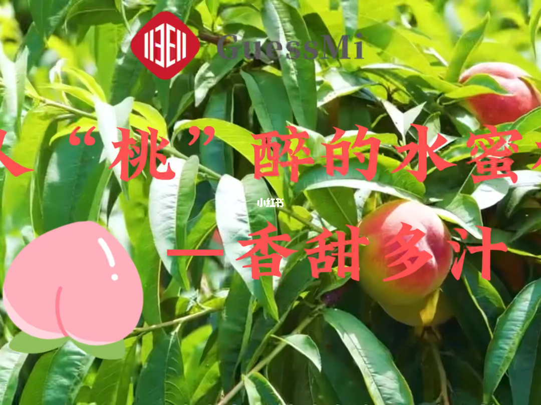 水密桃视频_密桃诚熟时3之密桃仙子_密桃成熟时3dd视频