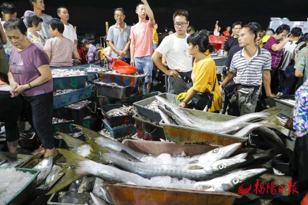 四川裂腹鱼_细鳞裂腹鱼_鱼腹浦