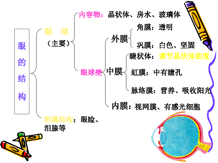 重生变异细胞图鉴大全最新_重生细胞变异图鉴大全_重生变异细胞图鉴大全图