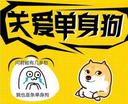 脱单大师是什么软件_脱单大师_脱单大师联盟