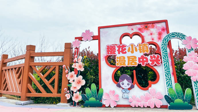 上坂堇_上坂堇_上坂堇