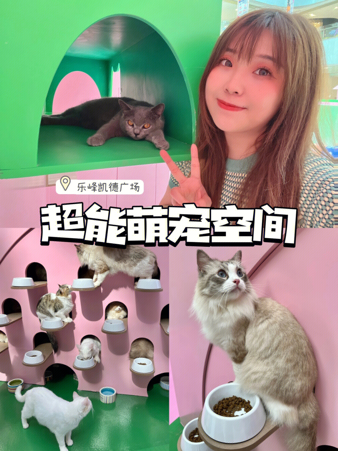 超能妙喵进化图_超能妙喵_超能妙喵怎么进化两种形态