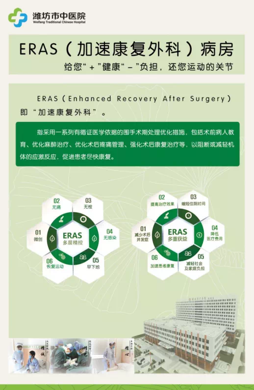 点亮未来的塞尔之光