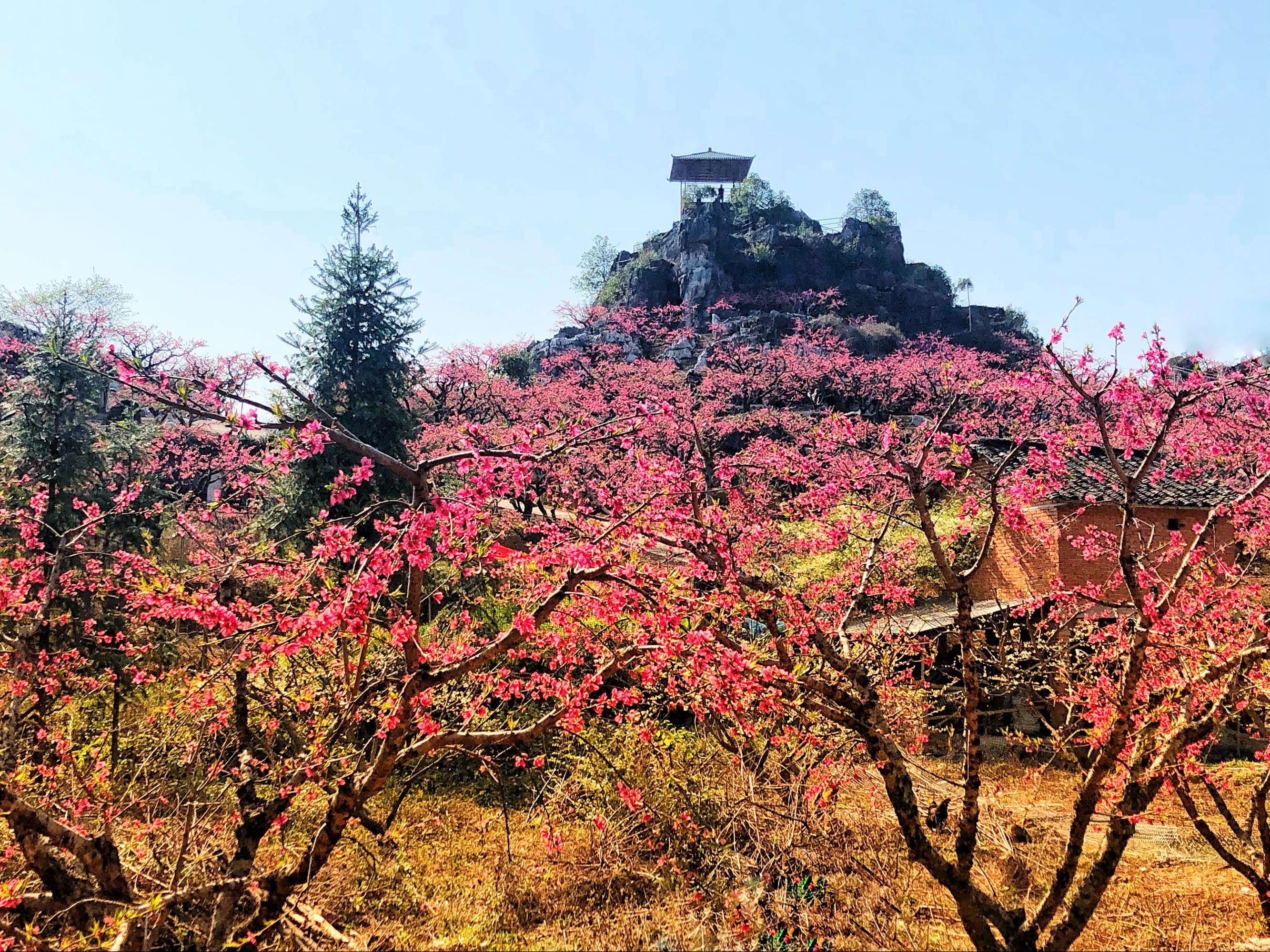 源记糖水铺_桃花源记游戏_游戏源游戏学校
