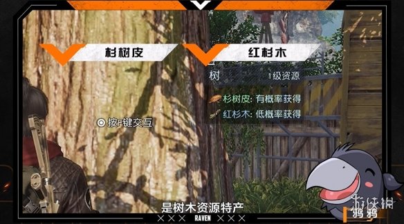 森林现代斧_森林现代斧洞怎么走岔路_森林现代斧山洞