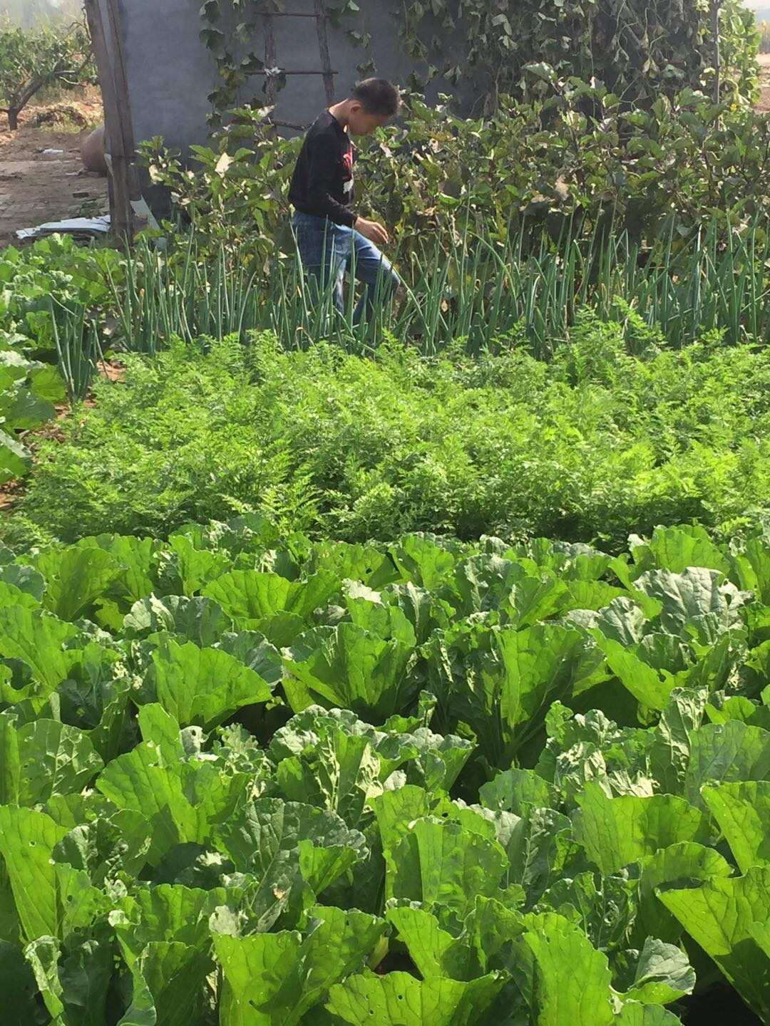 小说兔子不吃窝边草免费阅读_小说兔子的回礼_兔子小说