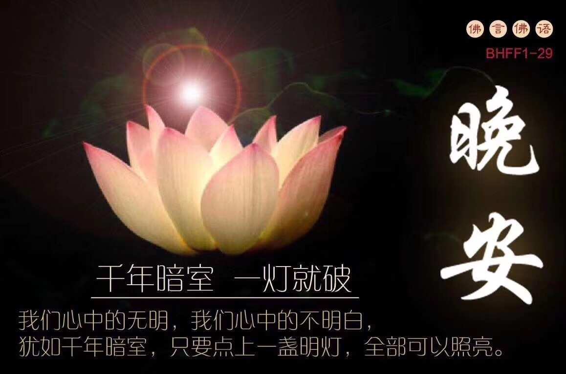 情书dota_情书dota经典语录_情书dota解说