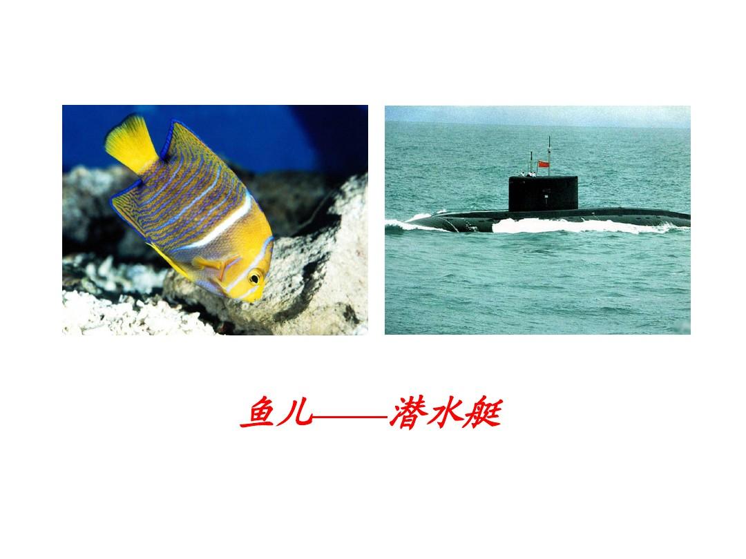 捉鱼游戏规则和玩法_捉鱼游戏_猫咪捉鱼游戏
