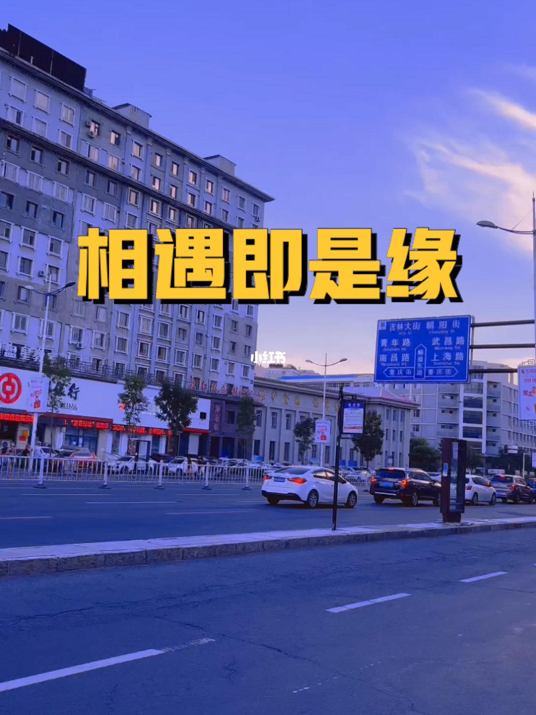 珍爱app_珍爱app如何屏蔽一个人_珍爱app会员值得吗