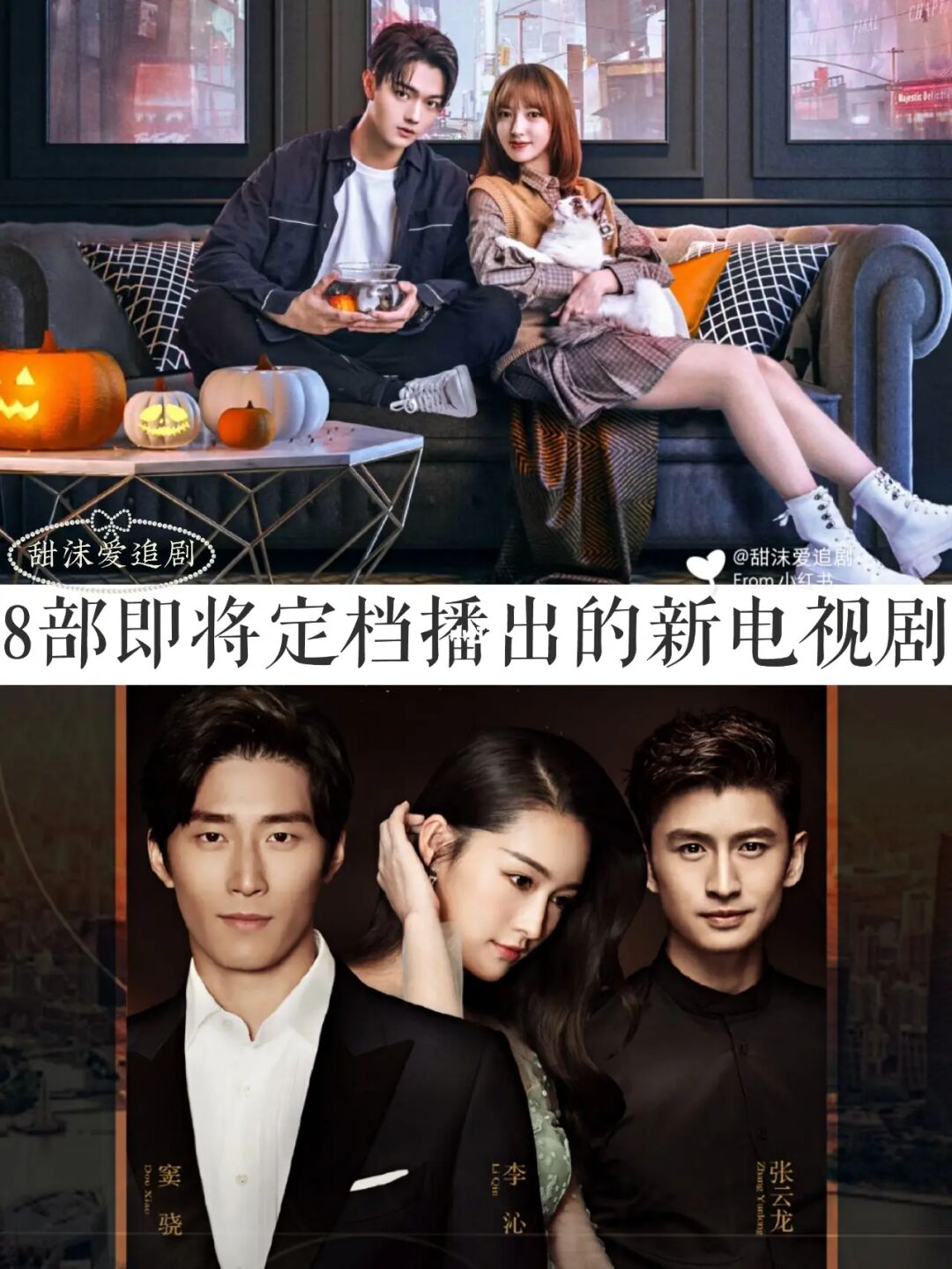 追剧小助手app_小园丁追剧app下载_追剧下载app小园丁
