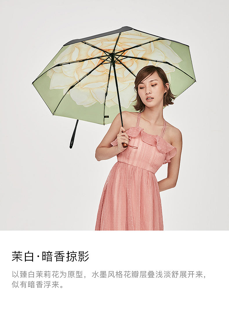 白茉晴_白茉晴_白茉晴
