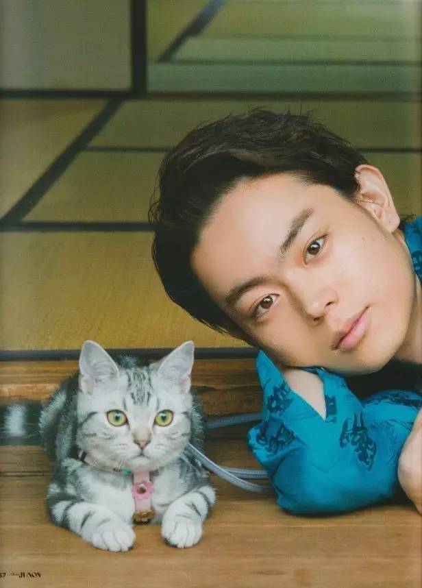 红猫大本猫怎么了_红猫大本菅_红猫大本金本营