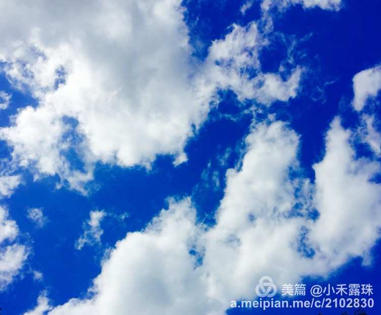 取一杯天上水的歌_取一杯天上的水是什么歌_取一杯天上的水歌的含义