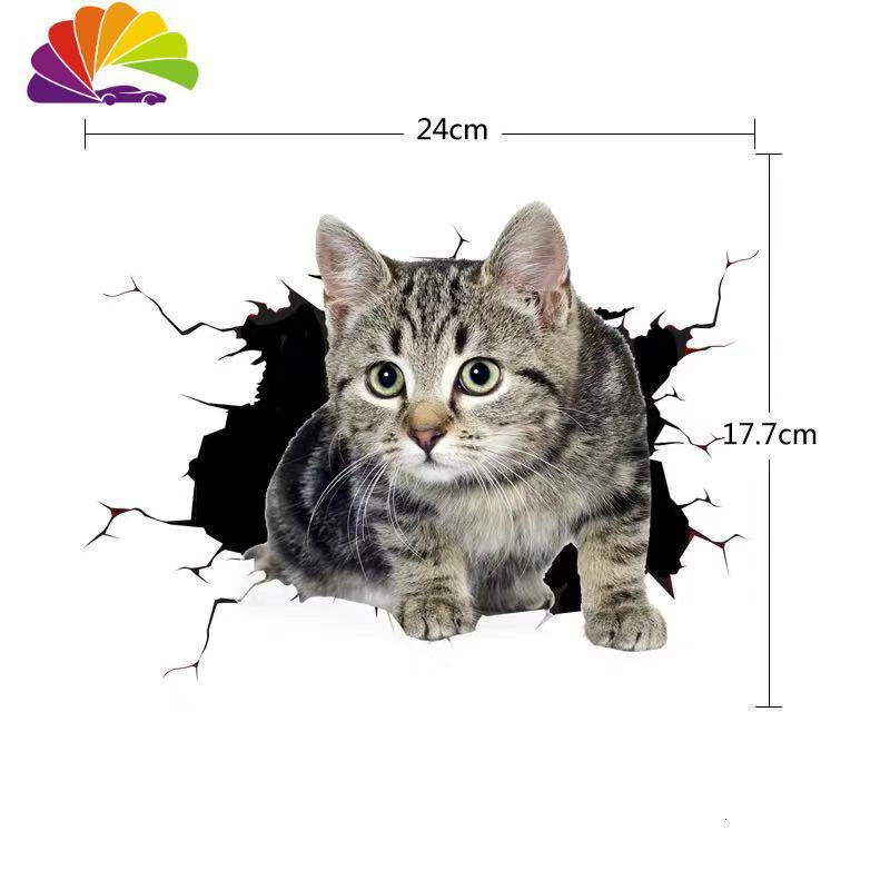万维猫_万维猫_万维猫