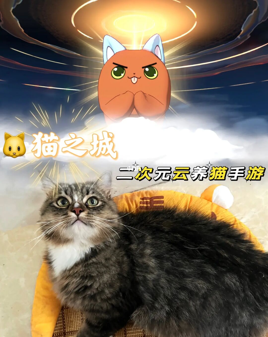 次元猫导航_次元零导航_次元云导航