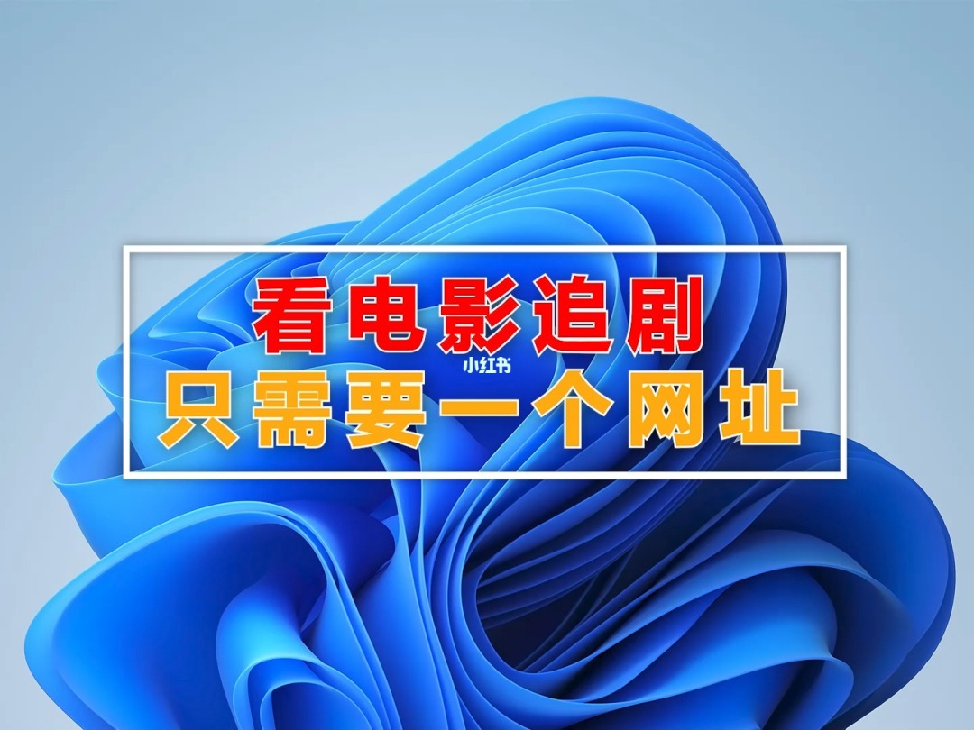 下载冀云app开展答题活动_免费下载冀云app_冀云平台下载