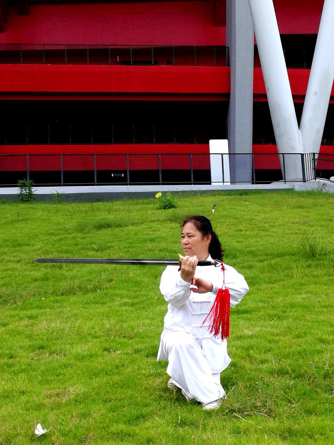 婉龙_婉龙健康_精灵宝可梦婉龙