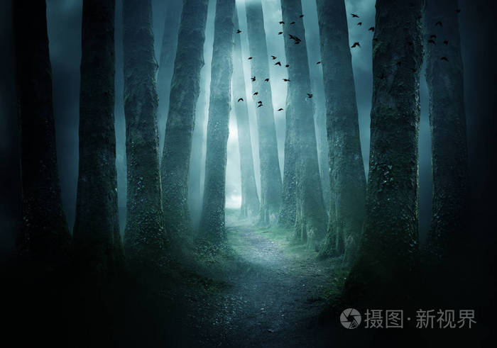 触手储存柜_触手储物柜游戏_触手储物箱打开黑屏