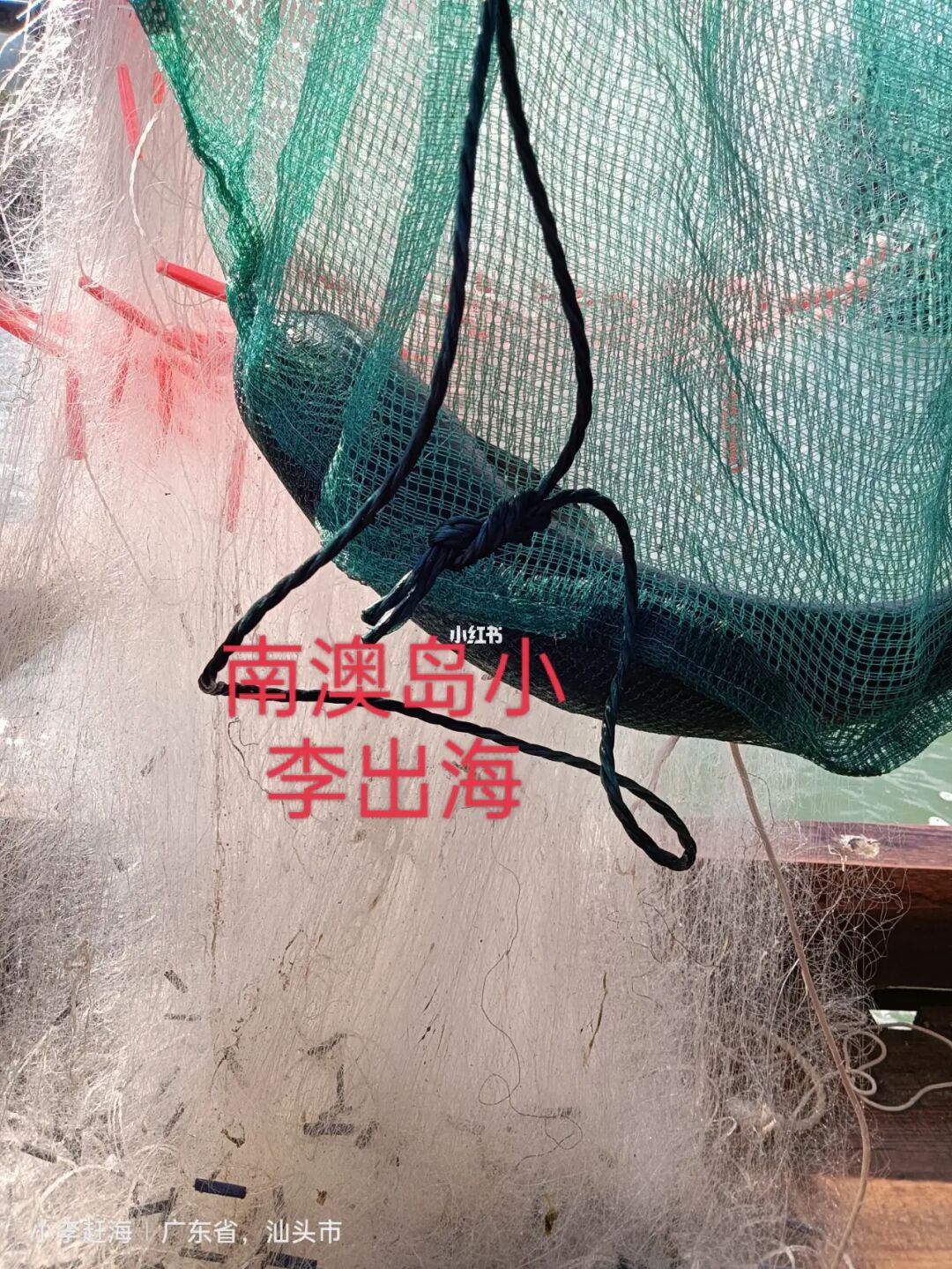 大鱼吃小鱼三人版无敌版_大鱼吃小鱼多人游戏_大鱼吃小鱼三人版