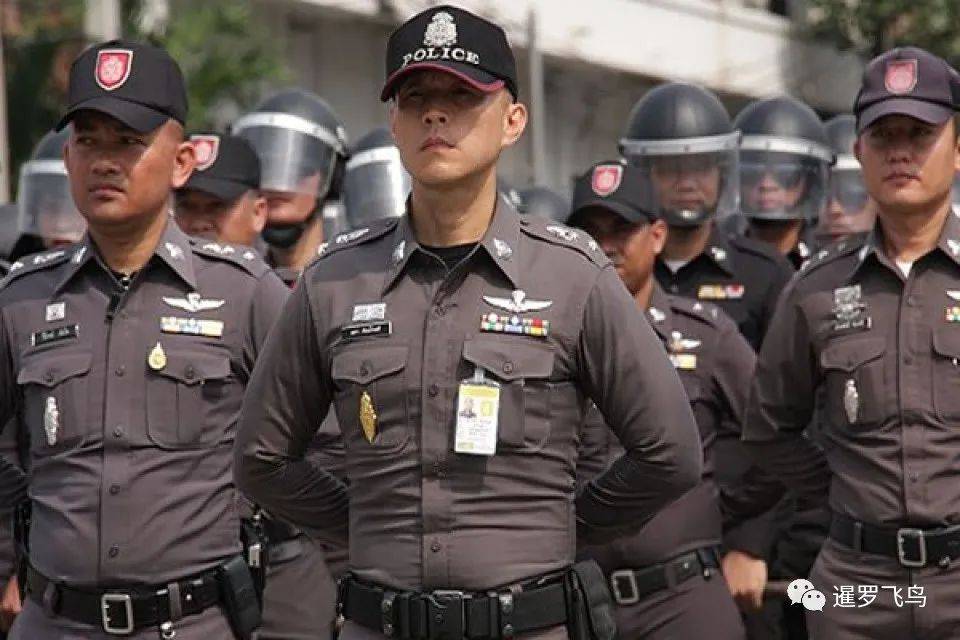 炭小侍在哪抓_炭小侍在哪抓_炭小侍在哪抓