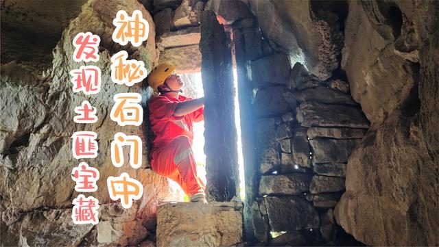 兔子大冒险_兔子大冒险_兔子大冒险