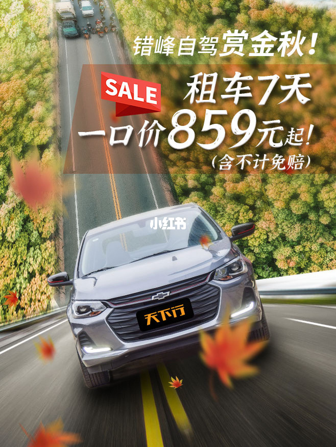 天天用车，畅享出行乐趣