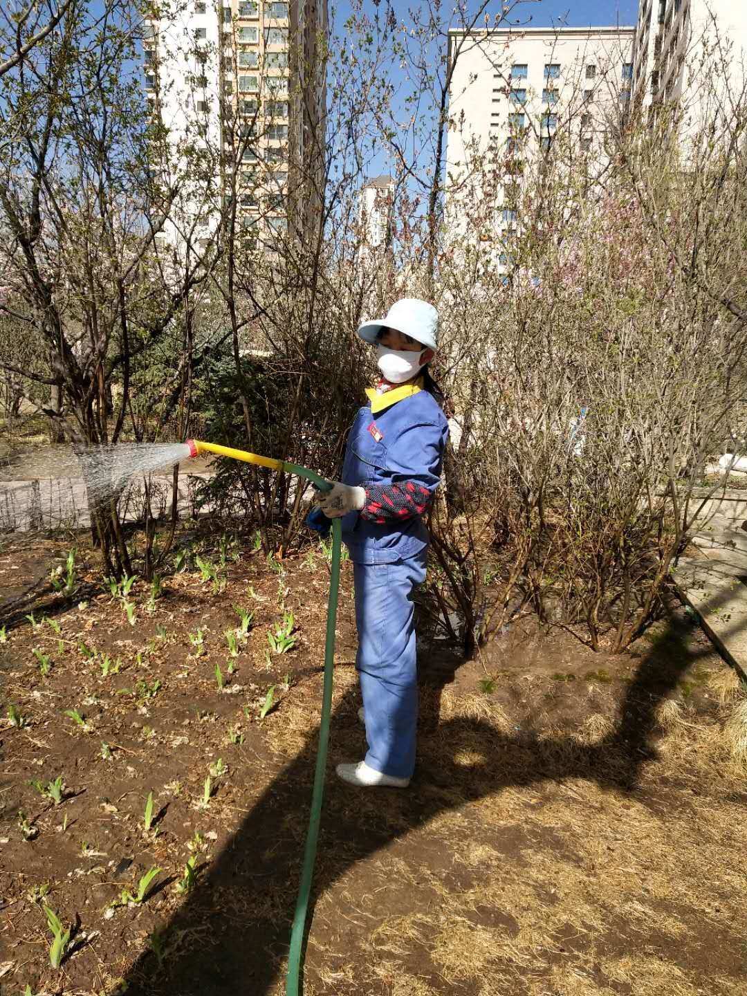 春色满园中_花香满园_百花齐放春满园