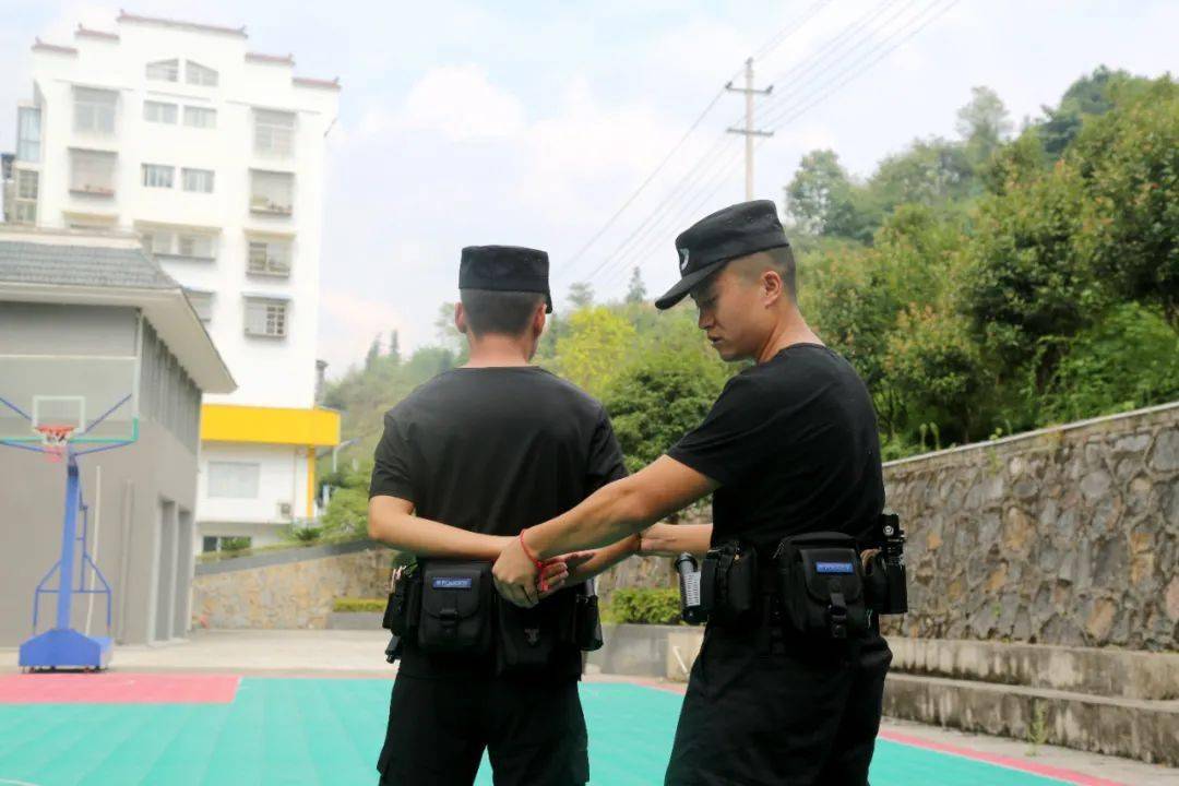 警察游戏手机版_这就是警察手机游戏下载_警察手机版下载