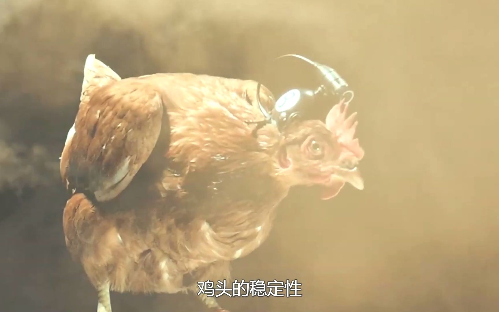 真人吃鸡又叫什么_关于真人吃鸡的吃鸡_真人版手机吃鸡游戏下载