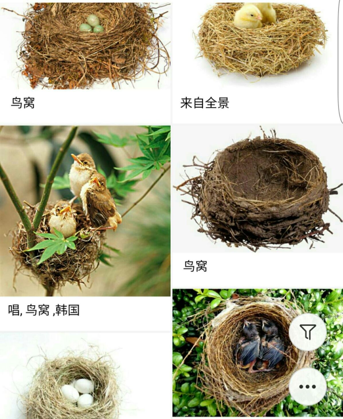手机下蛋游戏_鸡蛋手机游戏_蛋单机游戏
