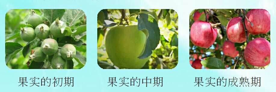 分数修改器_手机游戏修改分数_分数修改器免root