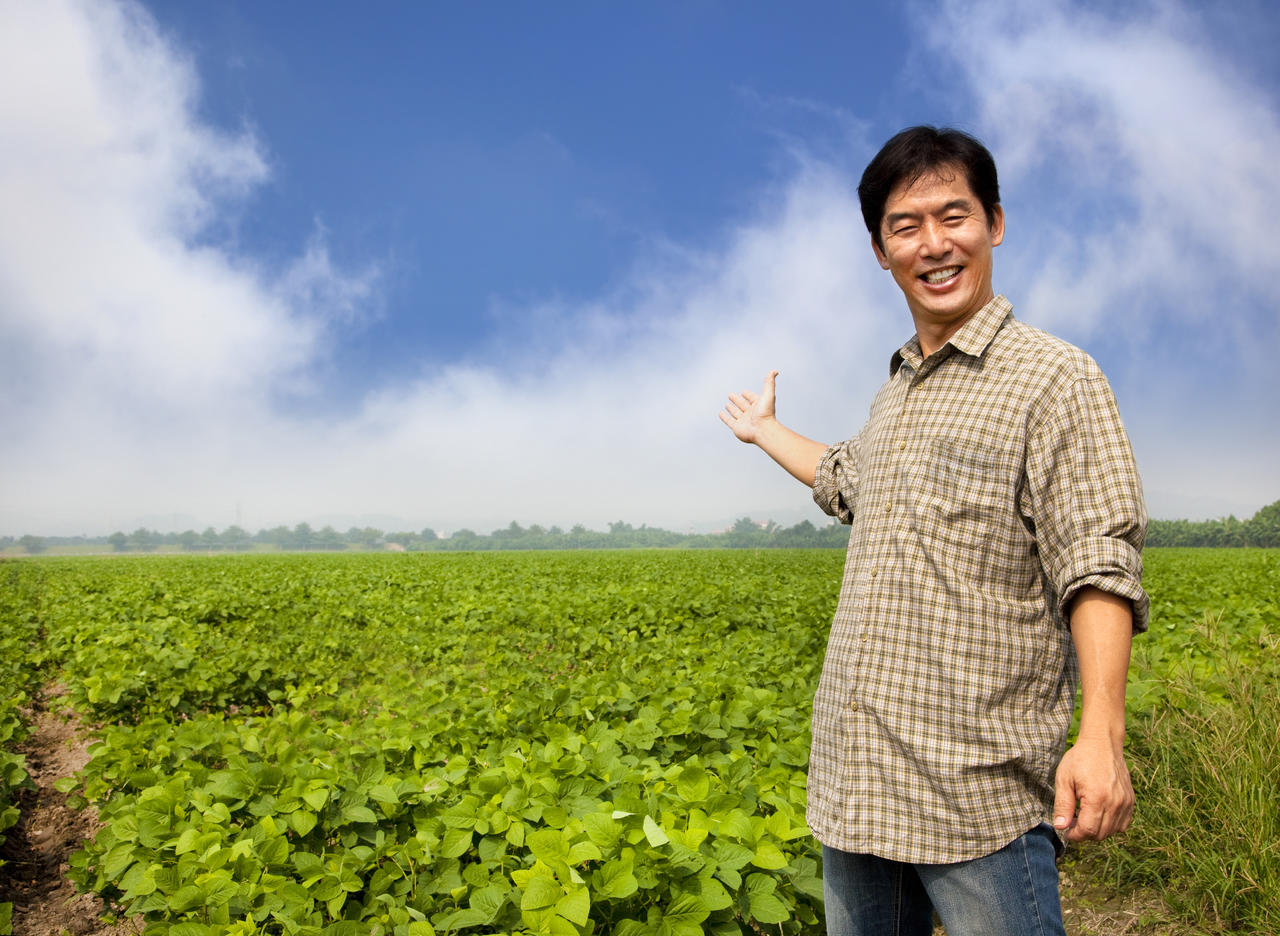农场大亨内购_农场大亨可以提现吗_手机农场大亨游戏