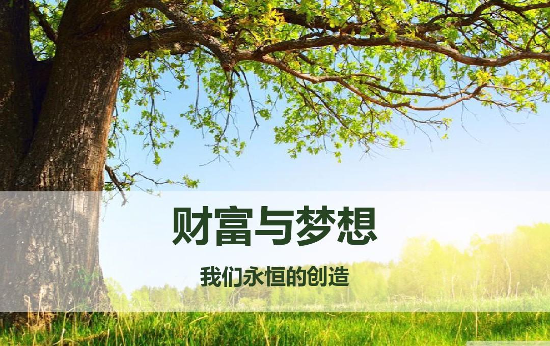 莫凡布袋_莫凡到底几个老婆_莫凡