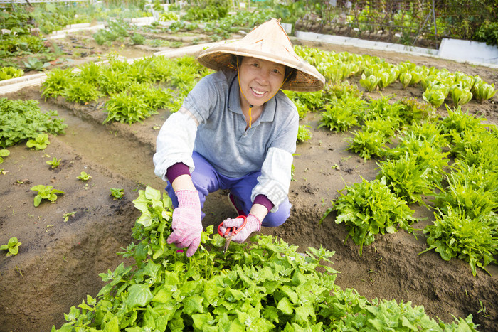 手机游戏类似庄园物语_物语庄园类似手机游戏有哪些_类似庄园的游戏