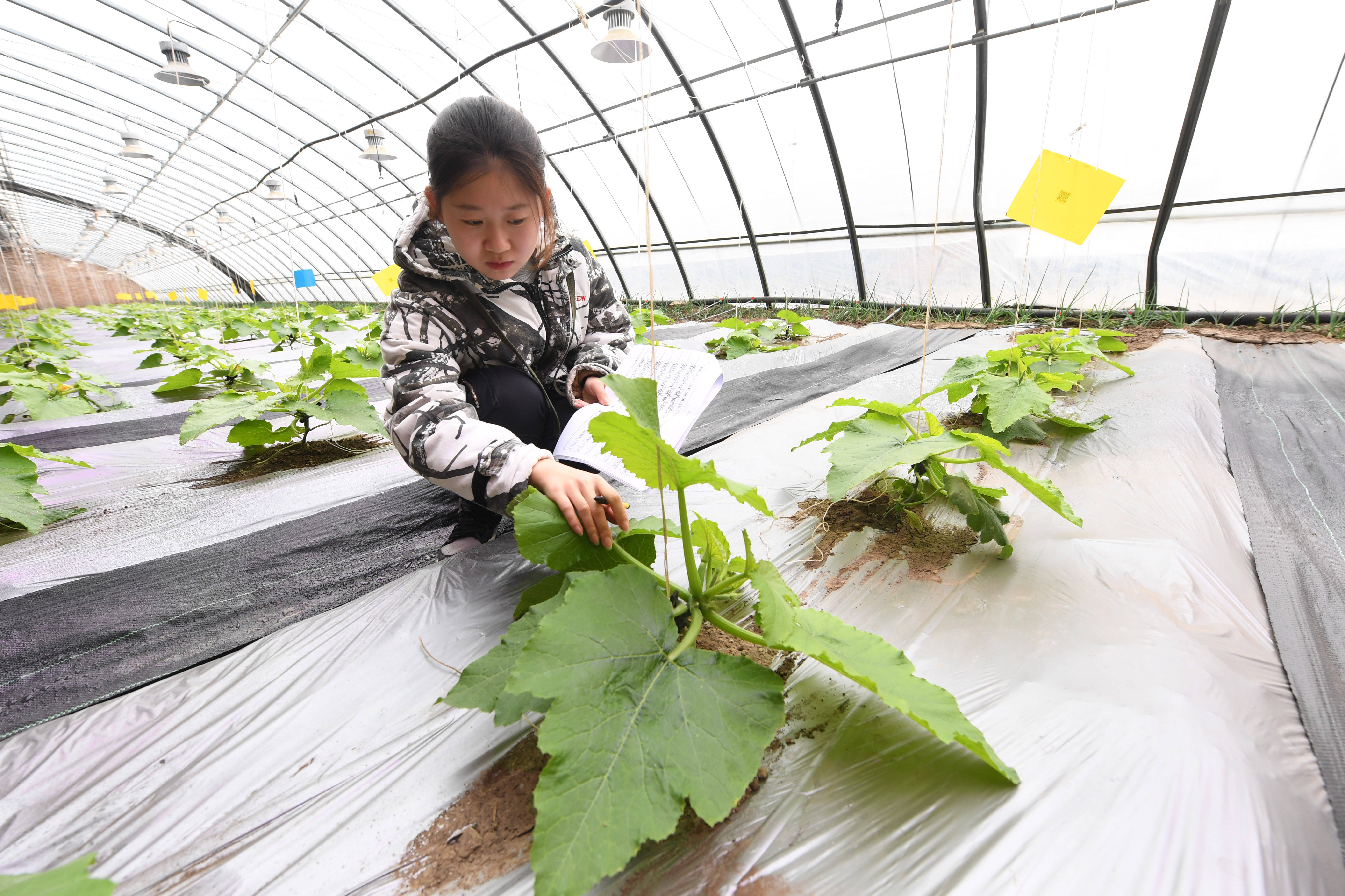 物语庄园类似手机游戏有哪些_手机游戏类似庄园物语_类似庄园的游戏