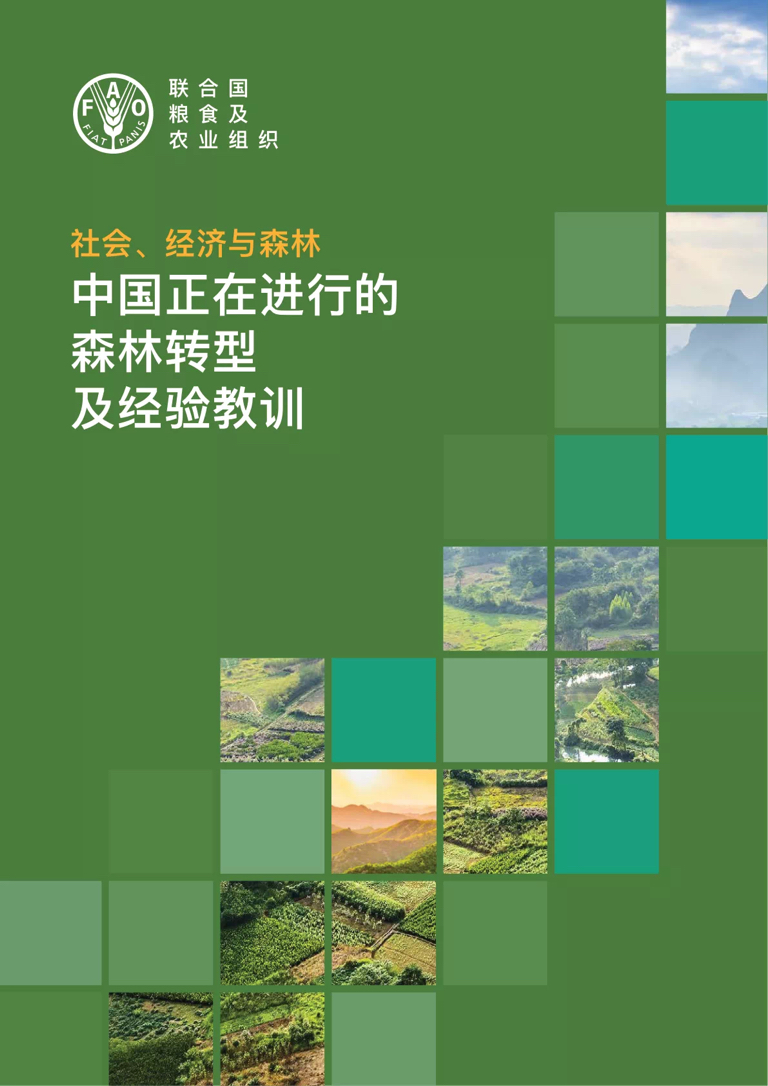 三叶虫_三者三叶_三叶草的寓意