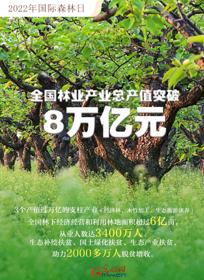 三叶草的寓意_三叶虫_三者三叶