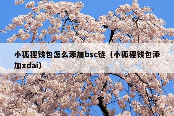 小狐狸钱包创建celo链_狐狸钱包怎么添加bsc链_狐狸钱包如何插件安装