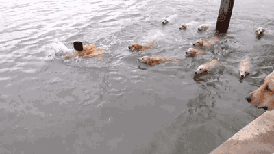 水上灯_水上灯_水上灯