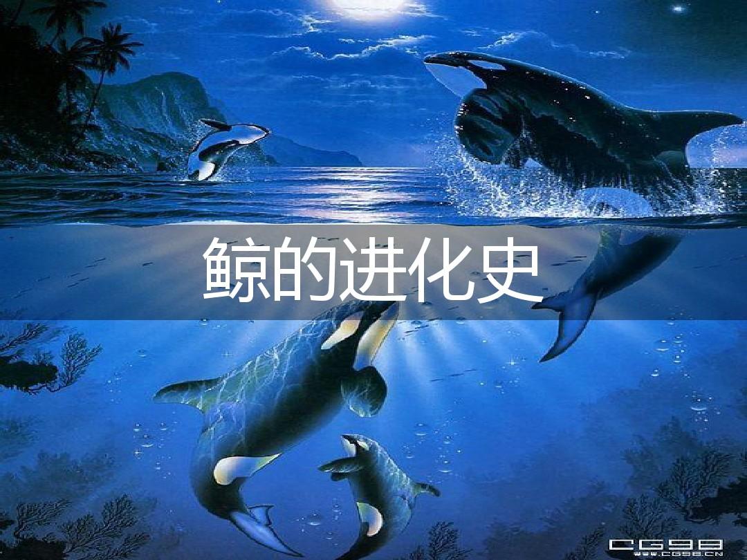进化手机鲨鱼游戏怎么玩_进化手机鲨鱼游戏叫什么_手机游戏鲨鱼进化